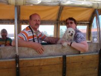 ein Bild aus dem Album