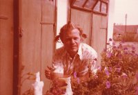 das zu drehende Bild