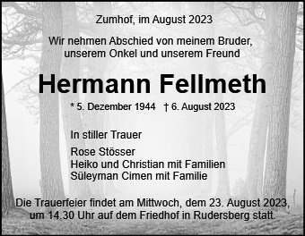 Erinnerungsbild für Hermann Fellmeth