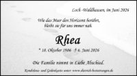 eine Anzeige